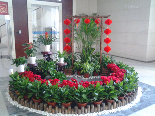 大廳花卉租擺