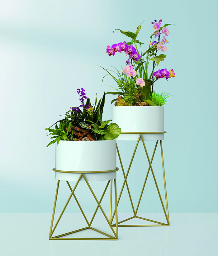 室內(nèi)租賃組合花箱