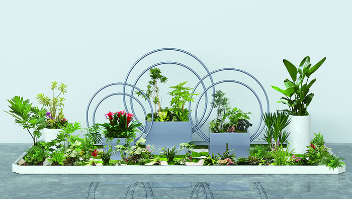 室內(nèi)租賃組合花箱