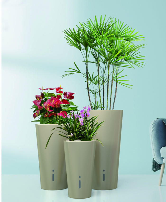 室內(nèi)租賃組合花箱