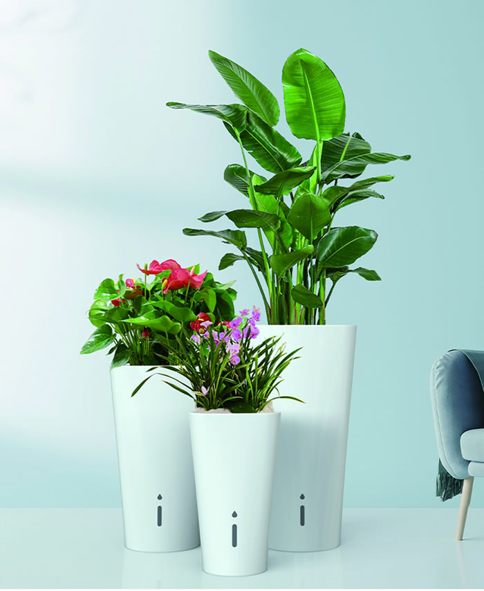 室內(nèi)租賃組合花箱