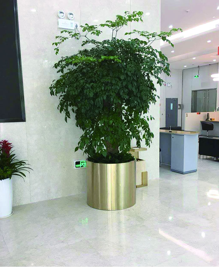 室內租賃組合花箱