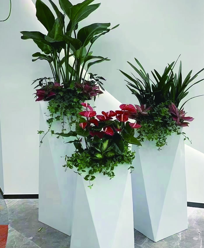 室內(nèi)租賃組合花箱