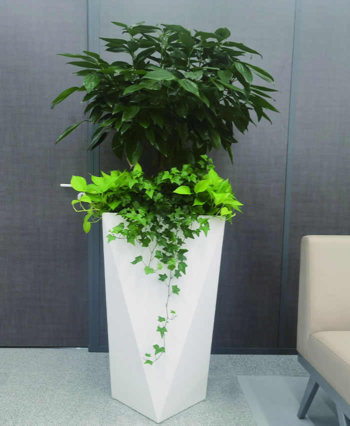 室內(nèi)租賃組合花箱