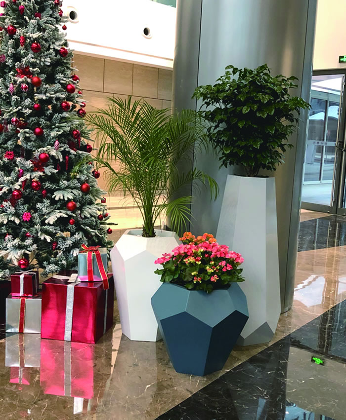 室內(nèi)租賃組合花箱