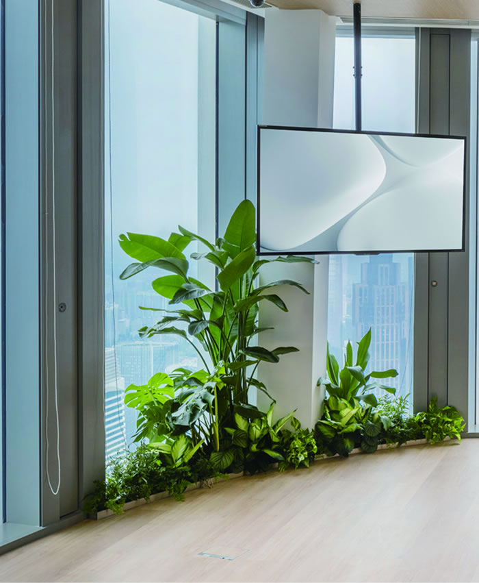 室內(nèi)租賃組合花箱