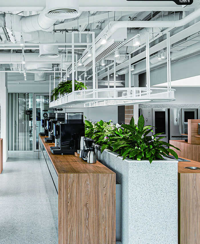 室內(nèi)租賃組合花箱