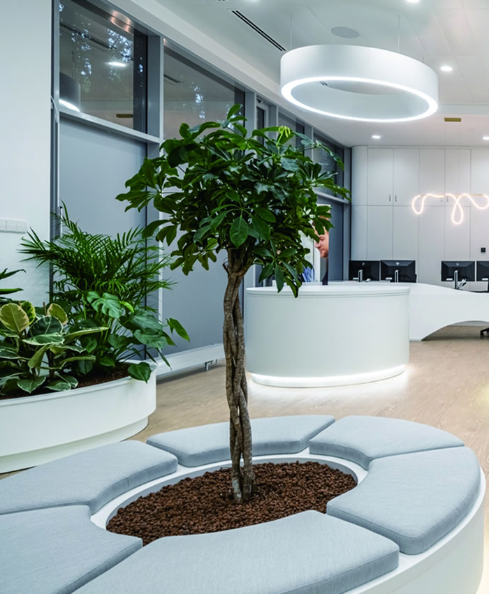 室內(nèi)租賃組合花箱