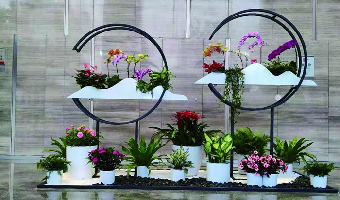 室內(nèi)租賃組合花箱